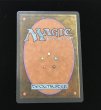 画像3: Scrubland 【他言語・NM〜NM-】 (3ED)【GW SALE】 (3)