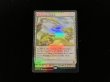 画像2: 吹きさらしの荒野/Windswept Heath 【NM〜NM-】 (EXP)【カウントダウン】 (2)