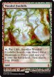 画像1: 樹木茂る山麓/Wooded Foothills 【NM〜NM-】 (EXP)【カウントダウン】 (1)