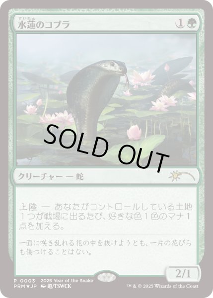 画像1: 水蓮のコブラ/Lotus Cobra (干支プロモ) (1)