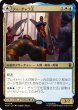 画像1: ティ・チャラ王/King T'Challa (MSH) (1)