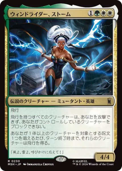 画像1: ウィンドライダー、ストーム/Storm, Windrider (MSH) (1)