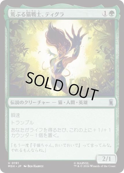 画像1: 荒ぶる猫戦士、ティグラ/Tigra, Feline Fury (MSH) (1)