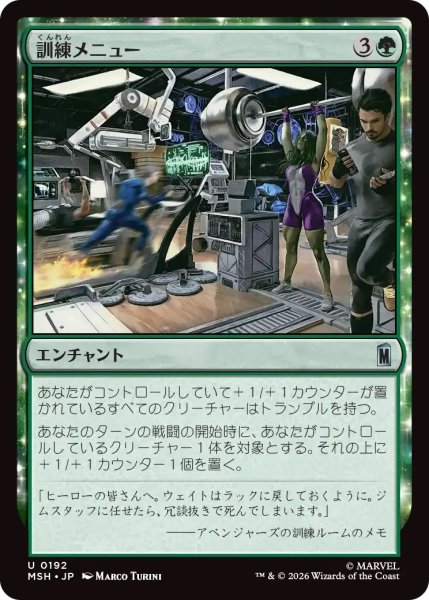 画像1: 訓練メニュー/Training Regimen (MSH) (1)