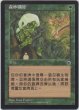 画像1: 森の教示者/Sylvan Tutor 【他言語・NM〜EX-】 (POR)【カウントダウン】 (1)