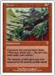 画像1: 熱情/Fervor 【英語・NM〜EX-】 (7ED)《Foil》【カウントダウン】 (1)
