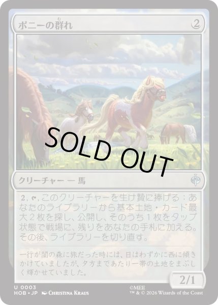 画像1: ポニーの群れ/Troop of Ponies (HOB) (1)