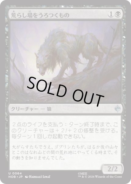 画像1: 荒らし場をうろつくもの/Desolation Prowler (HOB) (1)