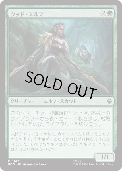 画像1: ウッド・エルフ/Wood Elves (HOB) (1)
