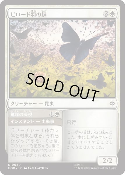 画像1: ビロード羽の蝶/Velvetwing Butterflies (HOB) (1)