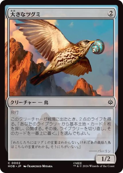 画像1: 大きなツグミ/Old Thrush (HOB) (1)