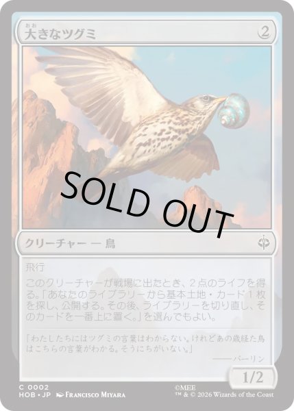 画像1: 大きなツグミ/Old Thrush (HOB) (1)