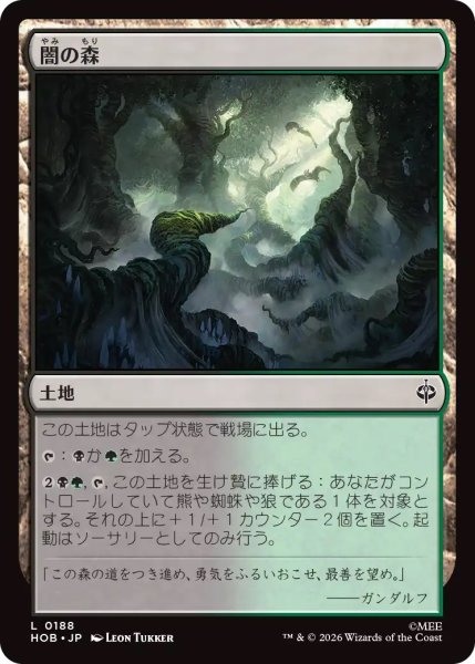 画像1: 闇の森/Mirkwood (HOB) (1)