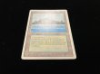 画像2: Tropical Island 【HPLD】 (3ED)【SUMMER SALE】 (2)