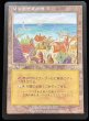 画像1: リシャーダの港/Rishadan Port 【日本語・HPLD】 (MMQ)【SUMMER SALE】 (1)