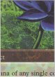 画像1: Black Lotus 【Ultra Pro Puzzle Cards・5/9】 (その他 プロモ) (1)