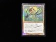 画像2: サマイトを総べる者アタリア/Atalya, Samite Master 【日本語・HPLD】 (INV)《Foil》【ジョニーのおすすめ】 (2)