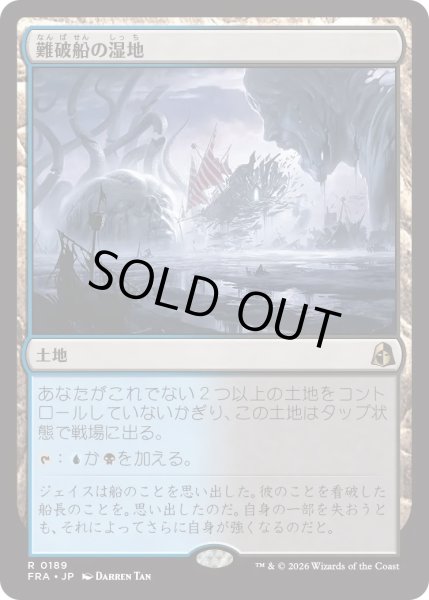 画像1: 難破船の湿地/Shipwreck Marsh (FRA) (1)