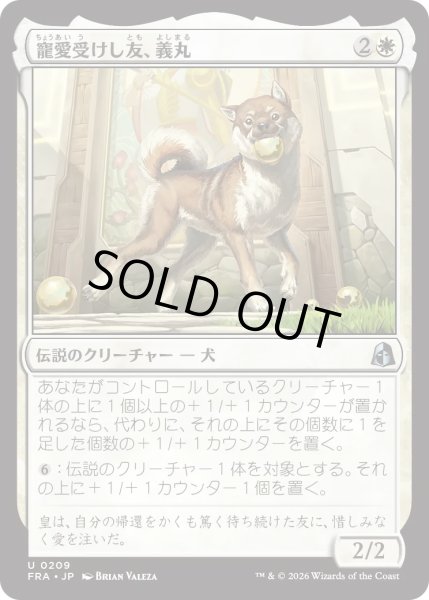 画像1: 寵愛受けし友、義丸/Yoshimaru, Beloved Companion (FRA) (1)