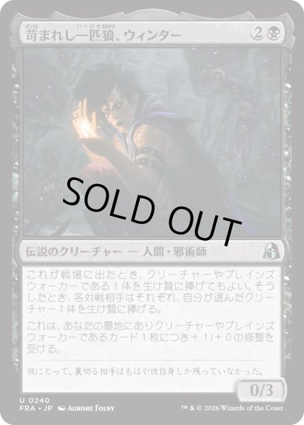 画像1: 苛まれし一匹狼、ウィンター/Winter, Tormented Loner (FRA) (1)