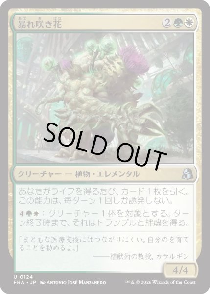 画像1: 暴れ咲き花/Bloombrute (FRA) (1)