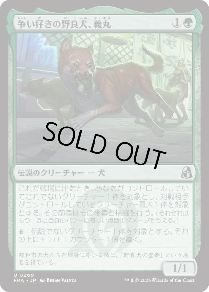 画像1: 争い好きの野良犬、義丸/Yoshimaru, Scrappy Stray (FRA) (1)