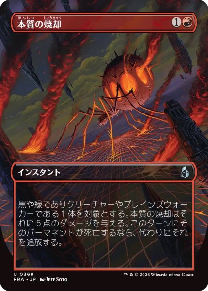 画像1: 本質の焼却/Essence Burn (FRA)【特殊アート版】 (1)