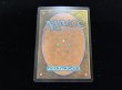 画像3: Who+What+When+Where+Why 【英語・PLD】 (UNH)《Foil》【AUTUMN SALE】 (3)