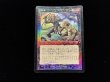 画像2: 迫害/Persecute 【日本語・HPLD】 (7ED)《Foil》【AUTUMN SALE】 (2)