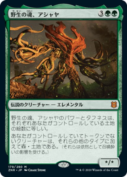 画像1: 野生の魂、アシャヤ/Ashaya, Soul of the Wild (ZNR)《Foil》 (1)