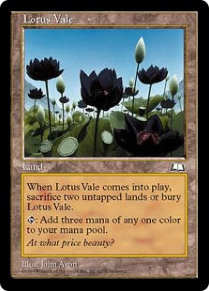 画像1: 水蓮の谷間/Lotus Vale (WTH) (1)
