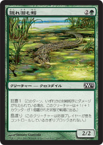 画像1: 隠れ潜む鰐/Lurking Crocodile (M12) (1)