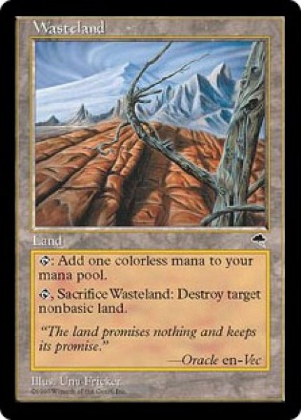 画像1: 不毛の大地/Wasteland (TMP) (1)