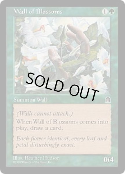 画像1: 花の壁/Wall of Blossoms (STH) (1)