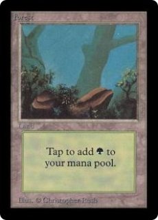 基本土地 - ジョニーのお店 Magic the Gathering