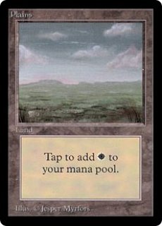 MTG beta 基本土地 PSA8 2枚セット card-museum_m21-262-c