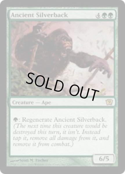 画像1: 年経たシルバーバック/Ancient Silverback (9ED)《Foil》 (1)