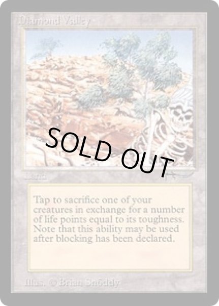 画像1: Diamond Valley (ARN) (1)