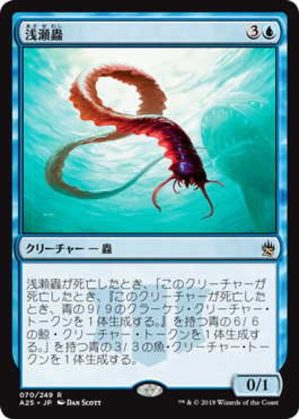 画像1: 浅瀬蟲/Reef Worm (A25) (1)