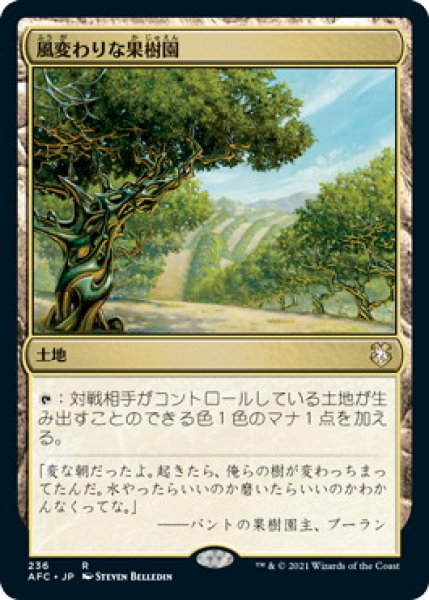 画像1: 風変わりな果樹園/Exotic Orchard (AFC) (1)