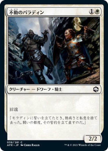 画像1: 不動のパラディン/Steadfast Paladin (AFR)《Foil》 (1)