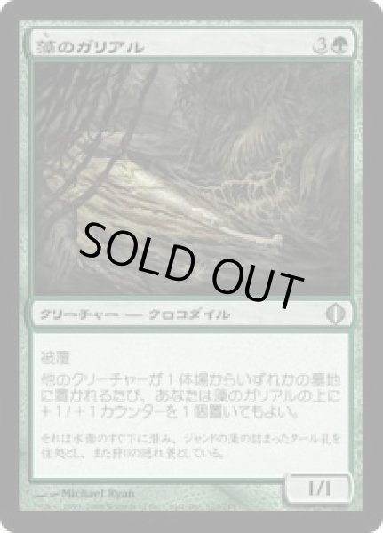 画像1: 藻のガリアル/Algae Gharial (ALA)《Foil》 (1)