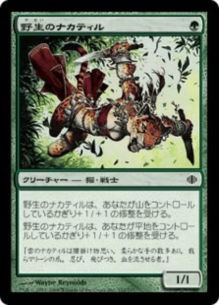 画像1: 野生のナカティル/Wild Nacatl (ALA) (1)