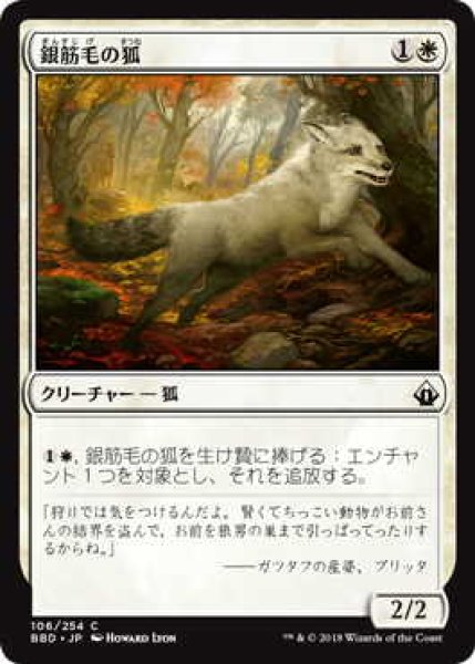 画像1: 銀筋毛の狐/Silverchase Fox (BBD) (1)