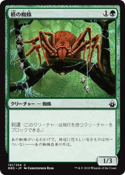 画像1: 梢の蜘蛛/Canopy Spider (BBD)《Foil》 (1)