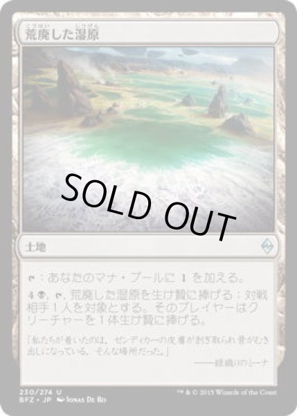 画像1: 荒廃した湿原/Blighted Fen (BFZ)《Foil》 (1)