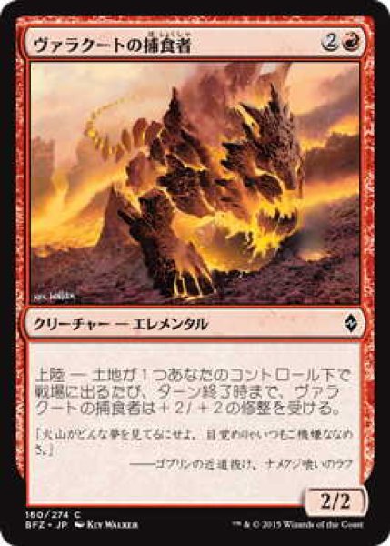 画像1: ヴァラクートの捕食者/Valakut Predator (BFZ)《Foil》 (1)