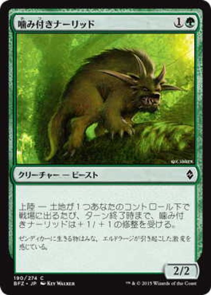 画像1: 噛み付きナーリッド/Snapping Gnarlid (BFZ)《Foil》 (1)