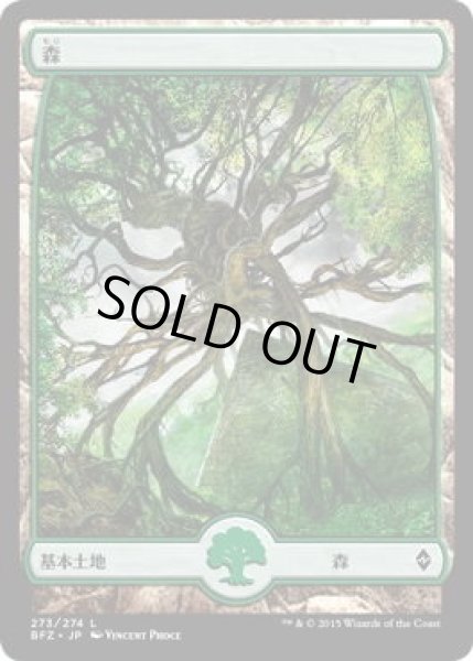 画像1: 森/Forest【Ver.4】(BFZ)《Foil》 (1)