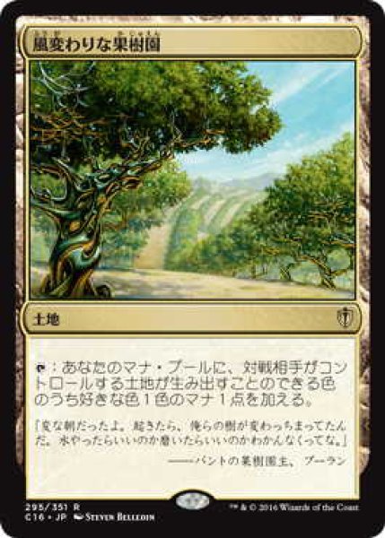 画像1: 風変わりな果樹園/Exotic Orchard (C16) (1)